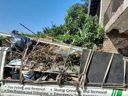 Best Estate Cleanout  in Lutherville, MD