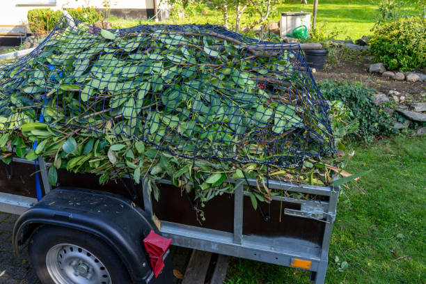 Best Same-Day Junk Removal Services  in Lutherville, MD